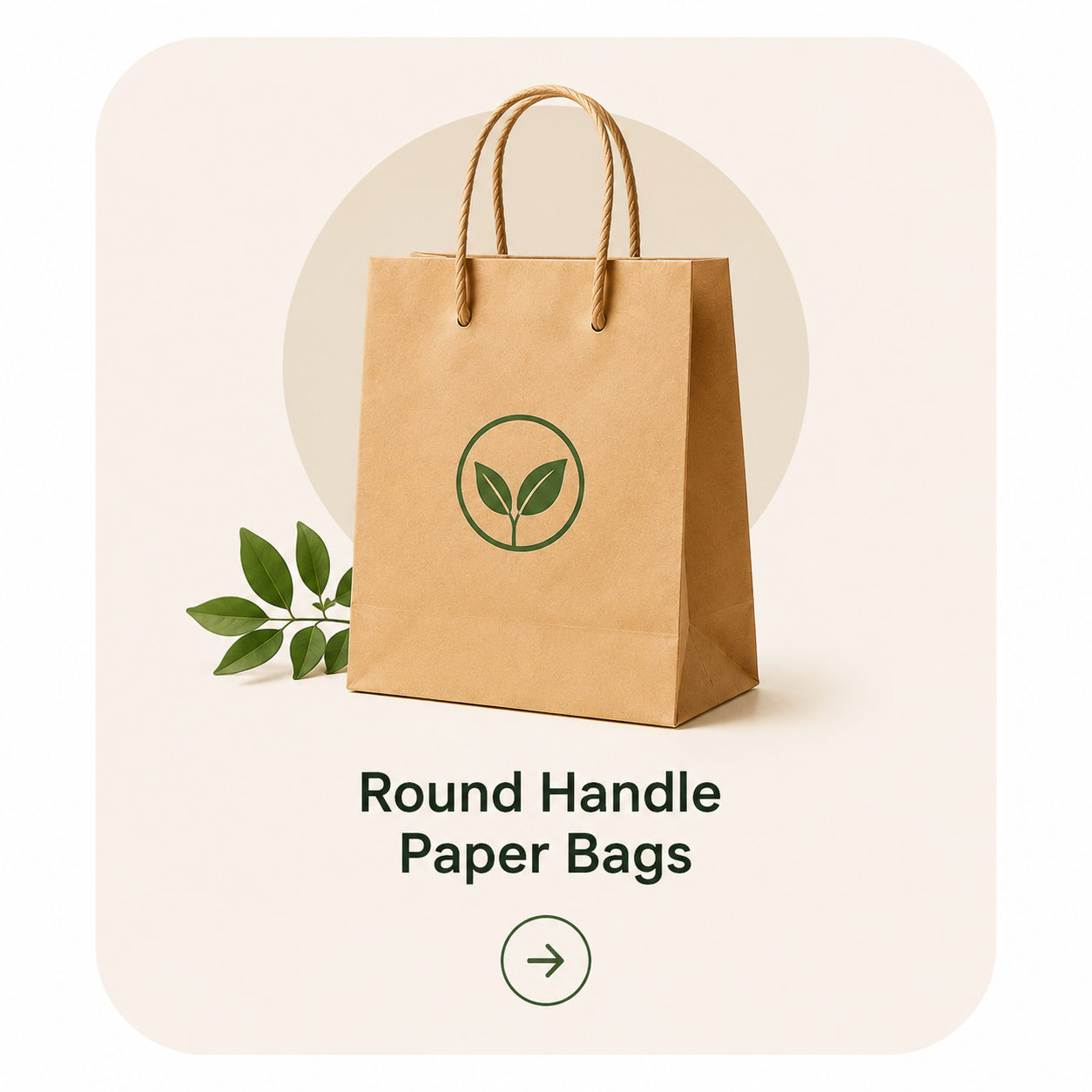 Round Handle Eco-Friendly Paper Bags